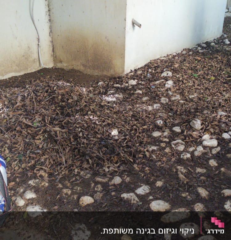 אדם אוסף עלים יבשים עם מגרפה ליד שק גדול